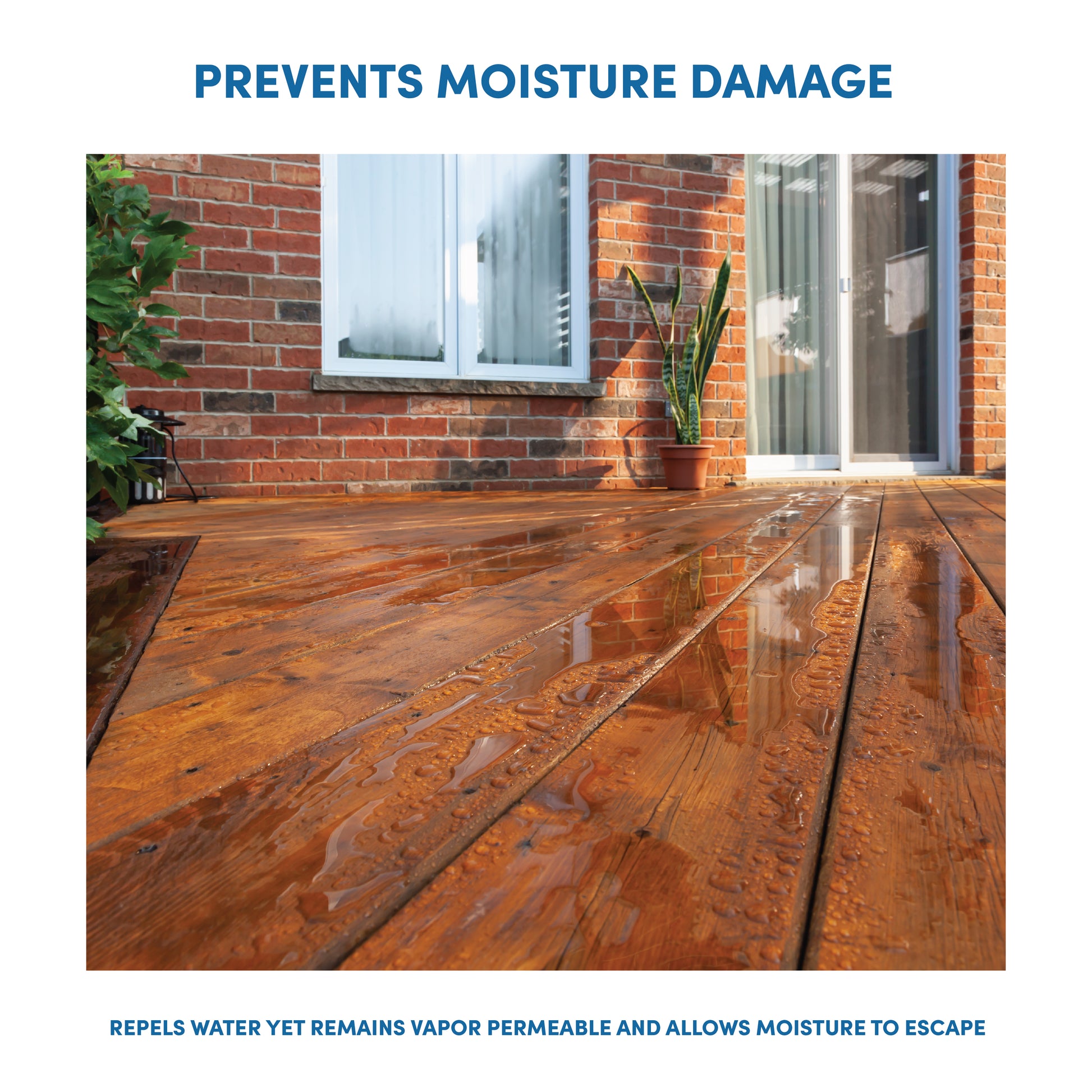 Wood Sealer, Natural Finish